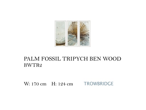 [MHT-003088] PALM FOSSIL TRIPTYCH