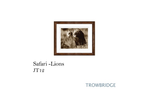[MHT-003356] SAFARI-LIONS