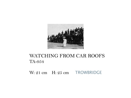 [MHT-003848] WATCHING FROM CAR ROOFS