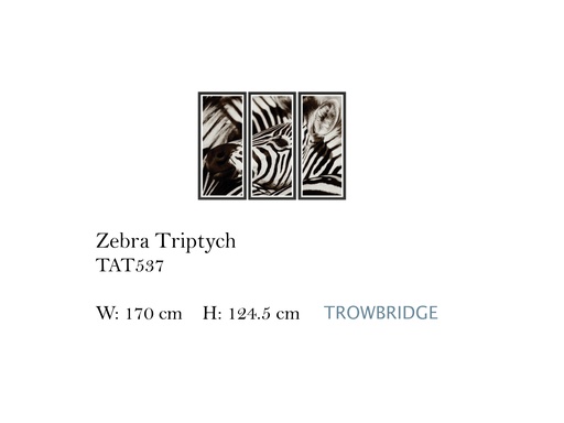 [MHT-003910] ZEBRA TRIPTYCH