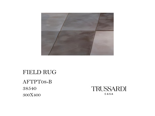 [MHT-000314] FIELD RUG